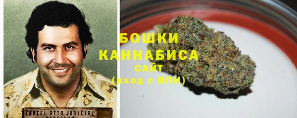гидра Медвежьегорск