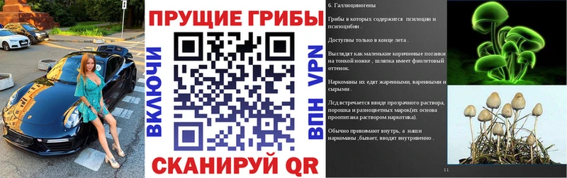 Галлюциногенные грибы ЛСД  где найти наркотики  Новоузенск 