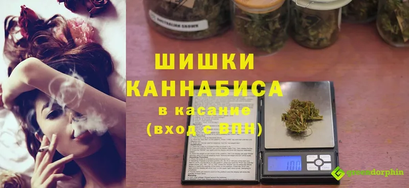 Каннабис Amnesia  Новоузенск 