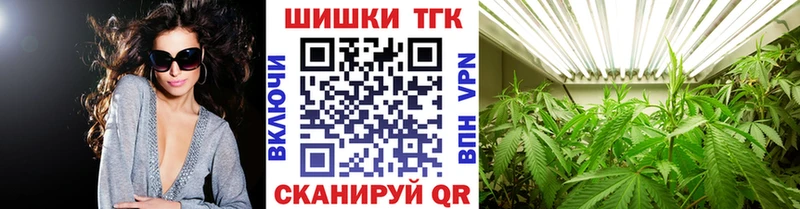 Шишки марихуана планчик  Новоузенск 